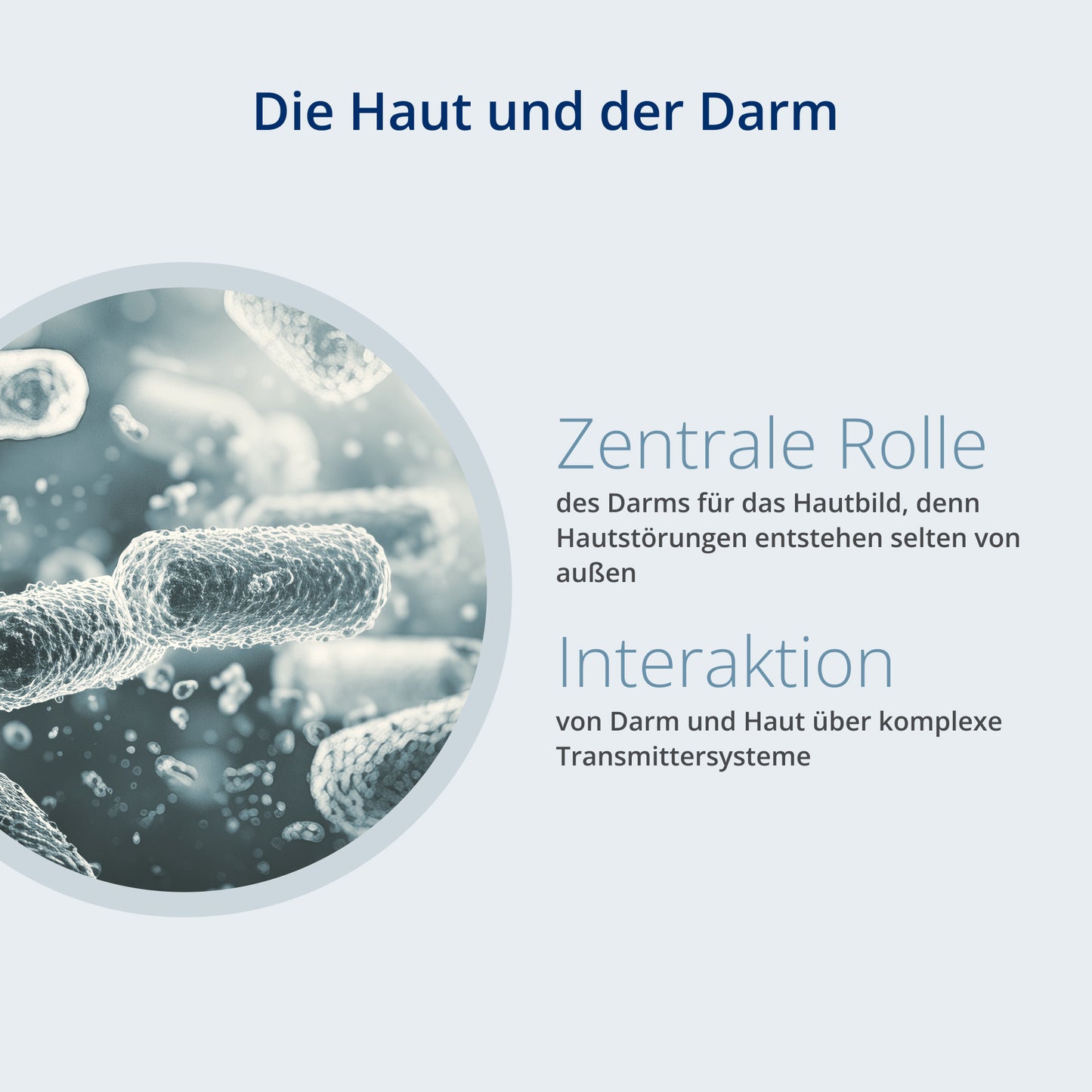 Interaktion zwischen Haut und Darm