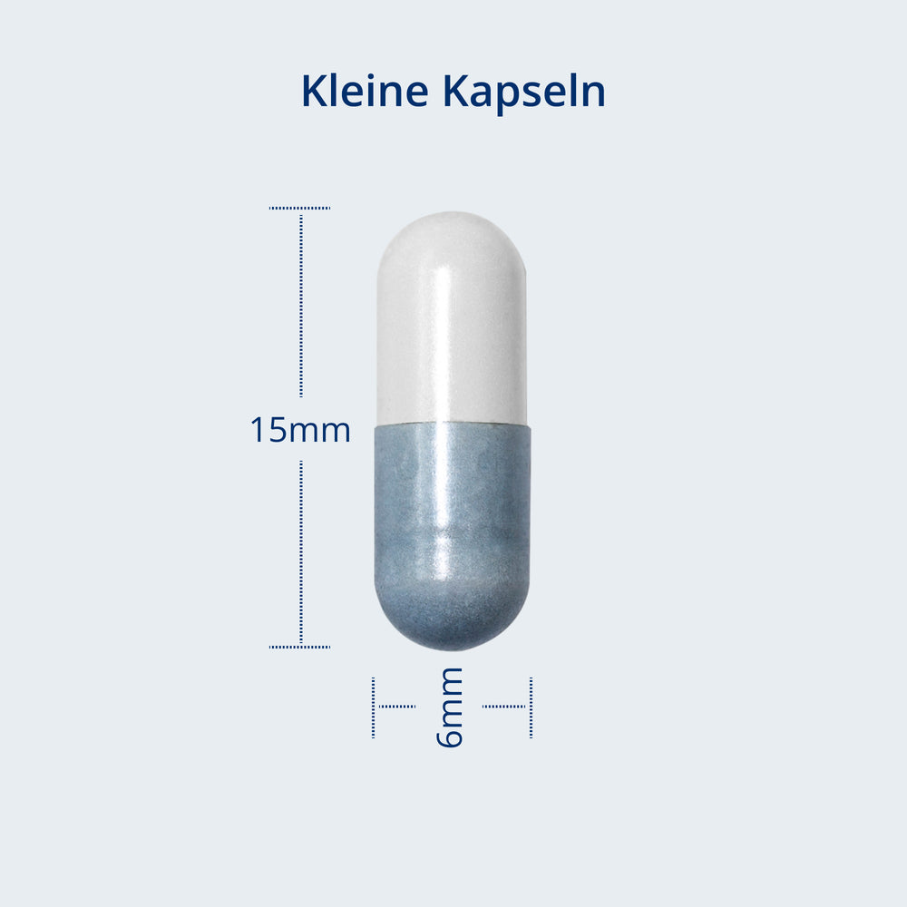 Kapselgröße