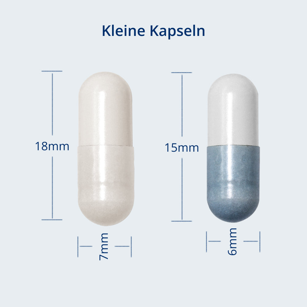 Kapselgrößen