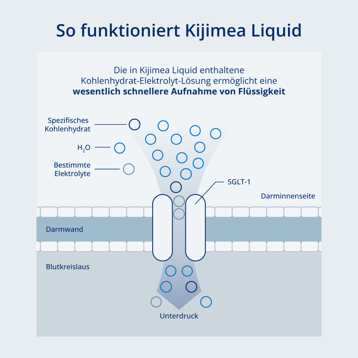 Funktionsweise