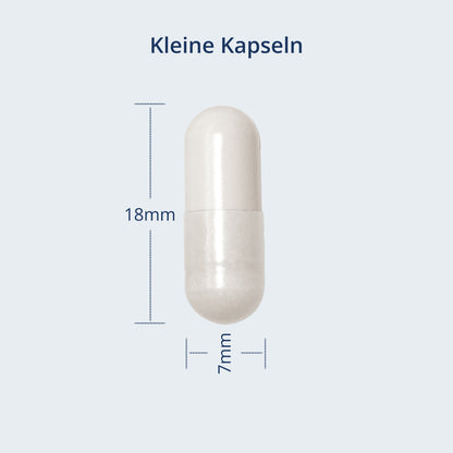 Kapselgröße